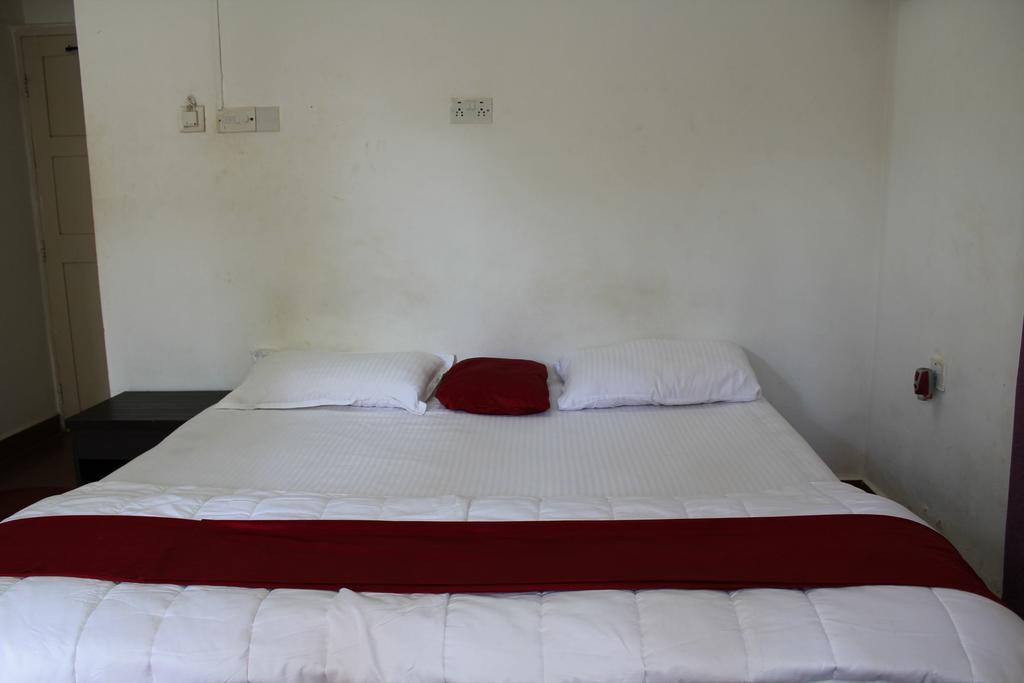 Bed and Breakfast Sugar Plum Macedo Palms Бага Номер фото