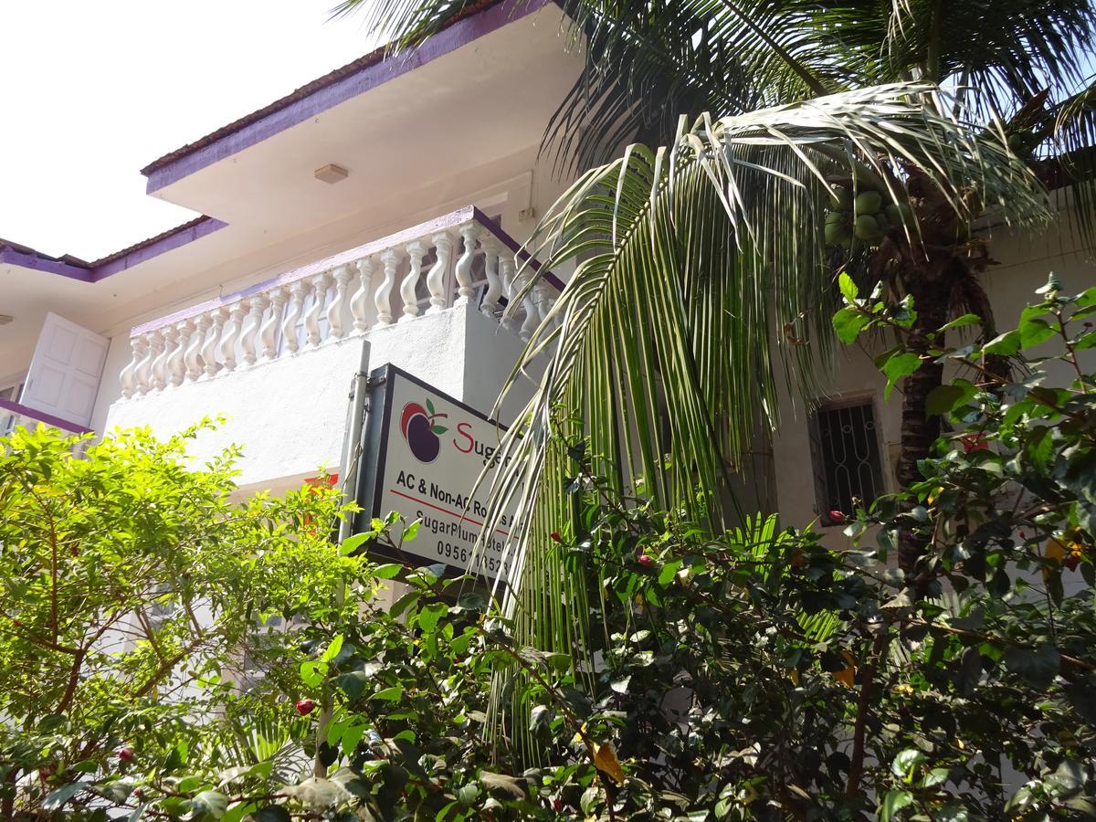 Bed and Breakfast Sugar Plum Macedo Palms Бага Екстер'єр фото