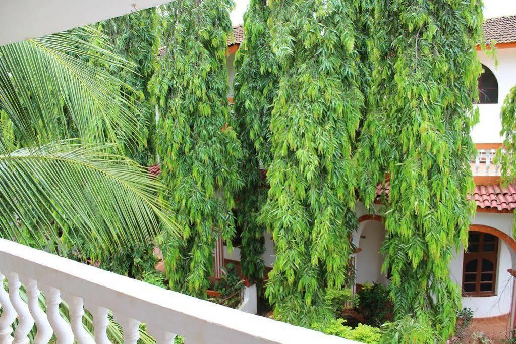Bed and Breakfast Sugar Plum Macedo Palms Бага Екстер'єр фото